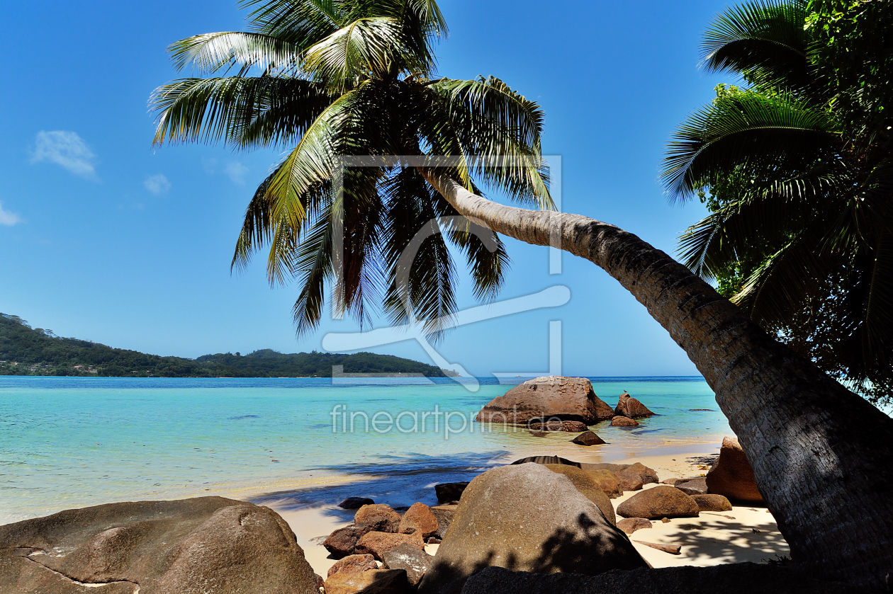 Bild-Nr.: 10620796 Palme am Strand erstellt von KundenNr-160338