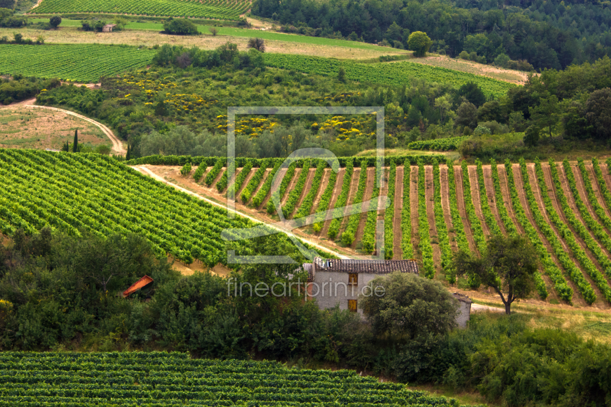 Bild-Nr.: 10622200 Weinberge in Südfrankreich  erstellt von Anja Schäfer