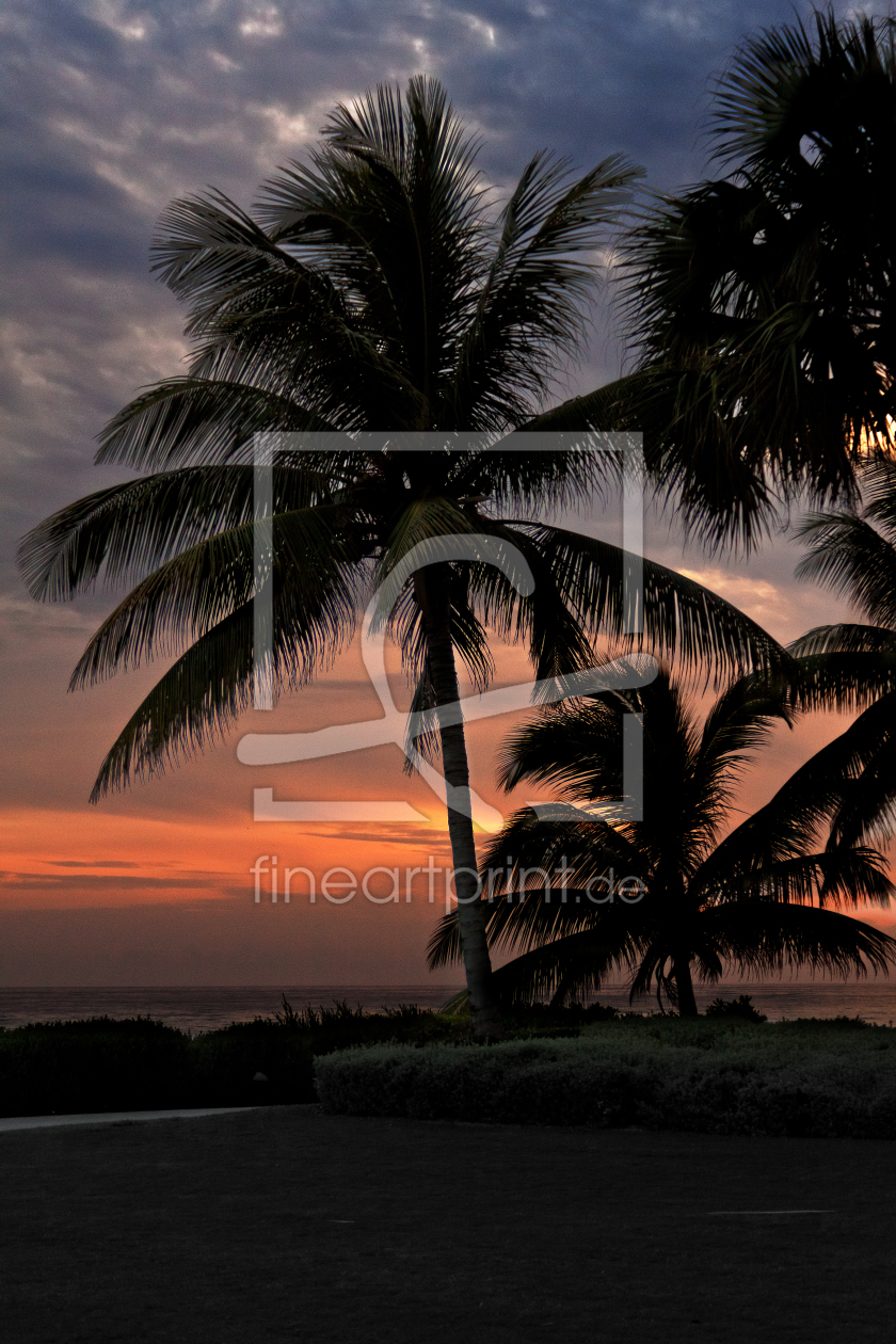 Bild-Nr.: 10622538 Jamaica Palmen erstellt von DeVo