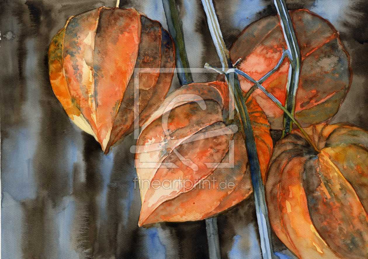 Bild-Nr.: 10626132 Physalis erstellt von whitecotton