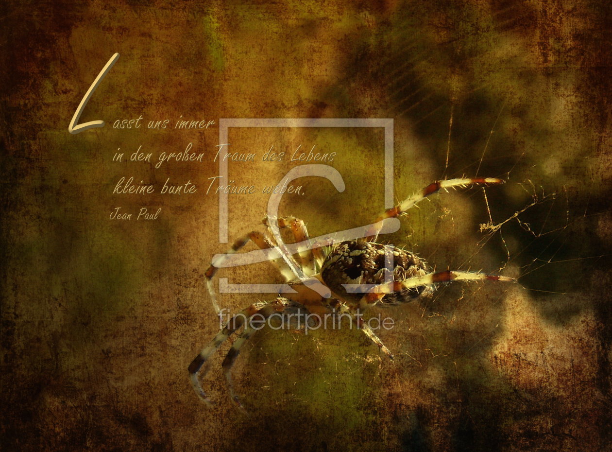 Bild-Nr.: 10628478 Spinne erstellt von Heike  Hultsch