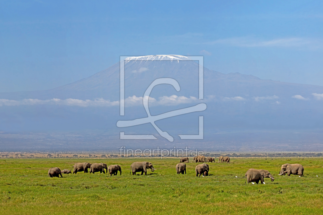 Bild-Nr.: 10629862 Schnee auf dem Kilimanjaro erstellt von Safarifotografie