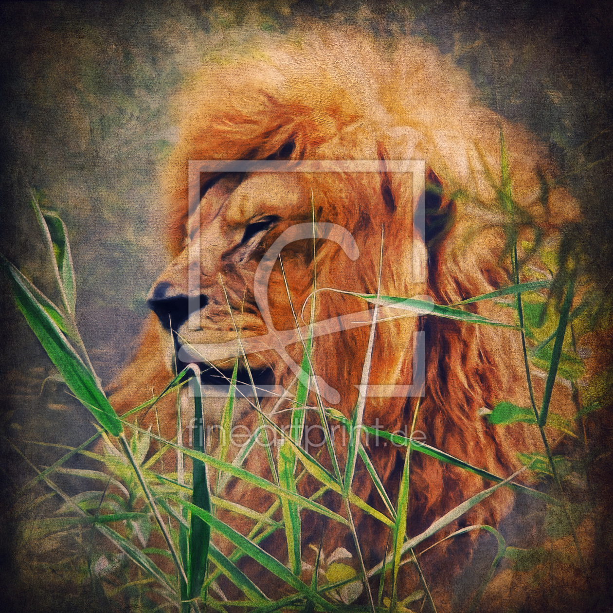 Bild-Nr.: 10630316 A Lion Portrait erstellt von Angela  Dölling
