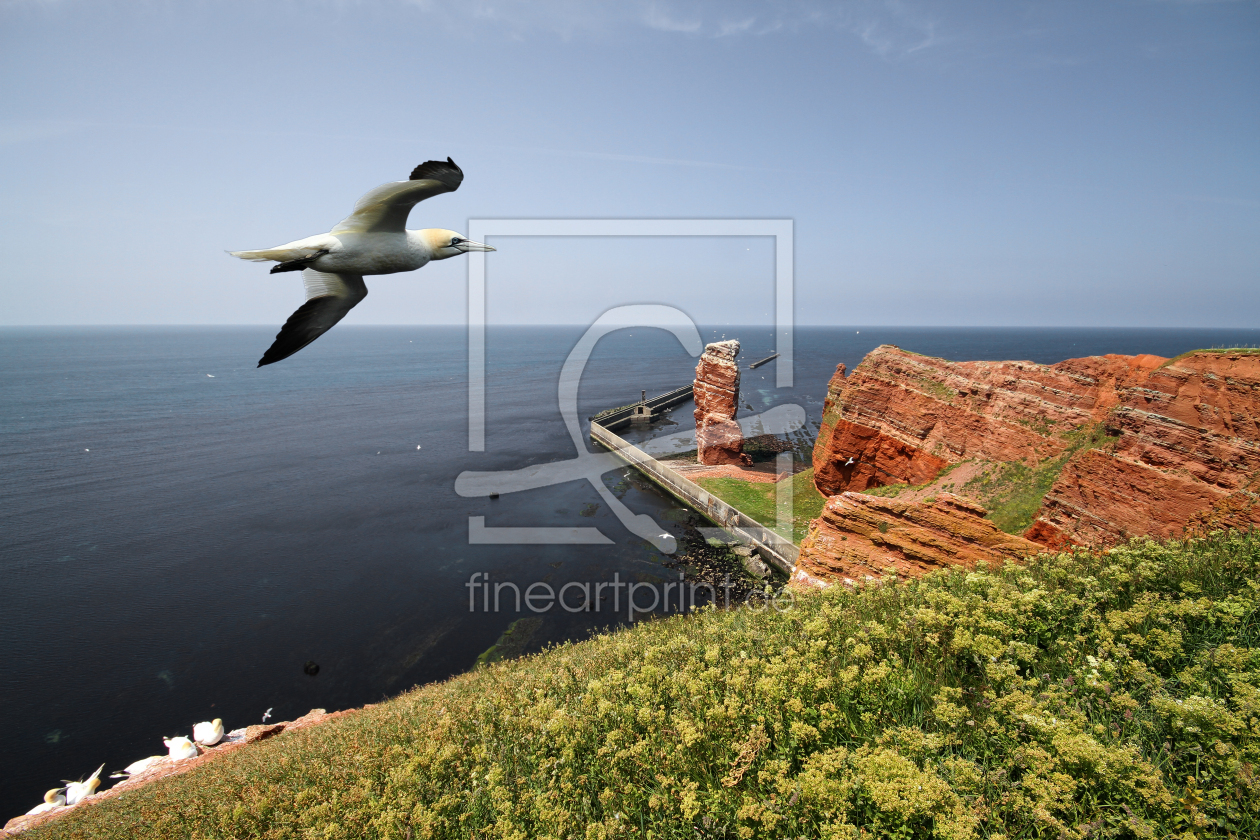 Bild-Nr.: 10634508 Helgoland erstellt von PhotoArt-Hartmann