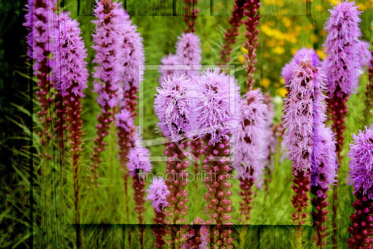 Bild-Nr.: 10636398 Blumen erstellt von Heike Hultsch