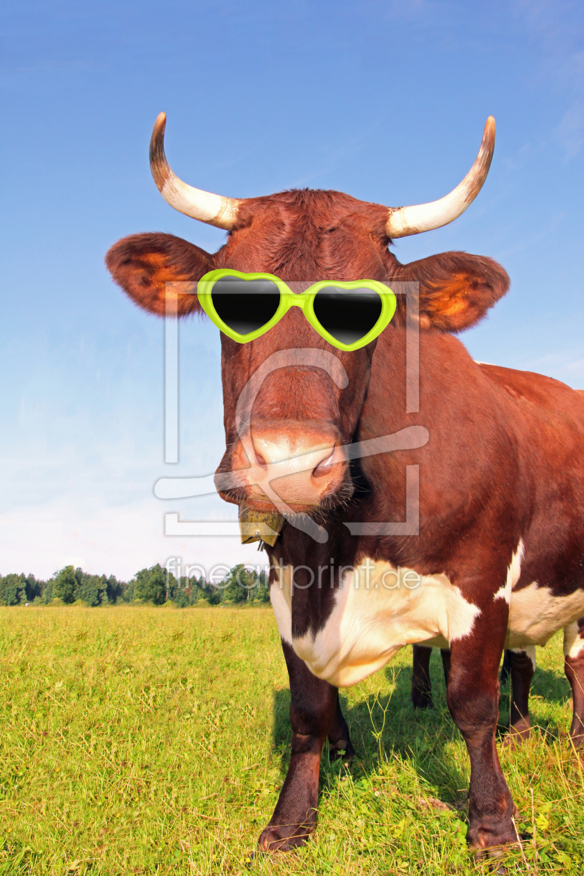 Bild-Nr.: 10636684 lustige Kuh mit Brille erstellt von SusaZoom