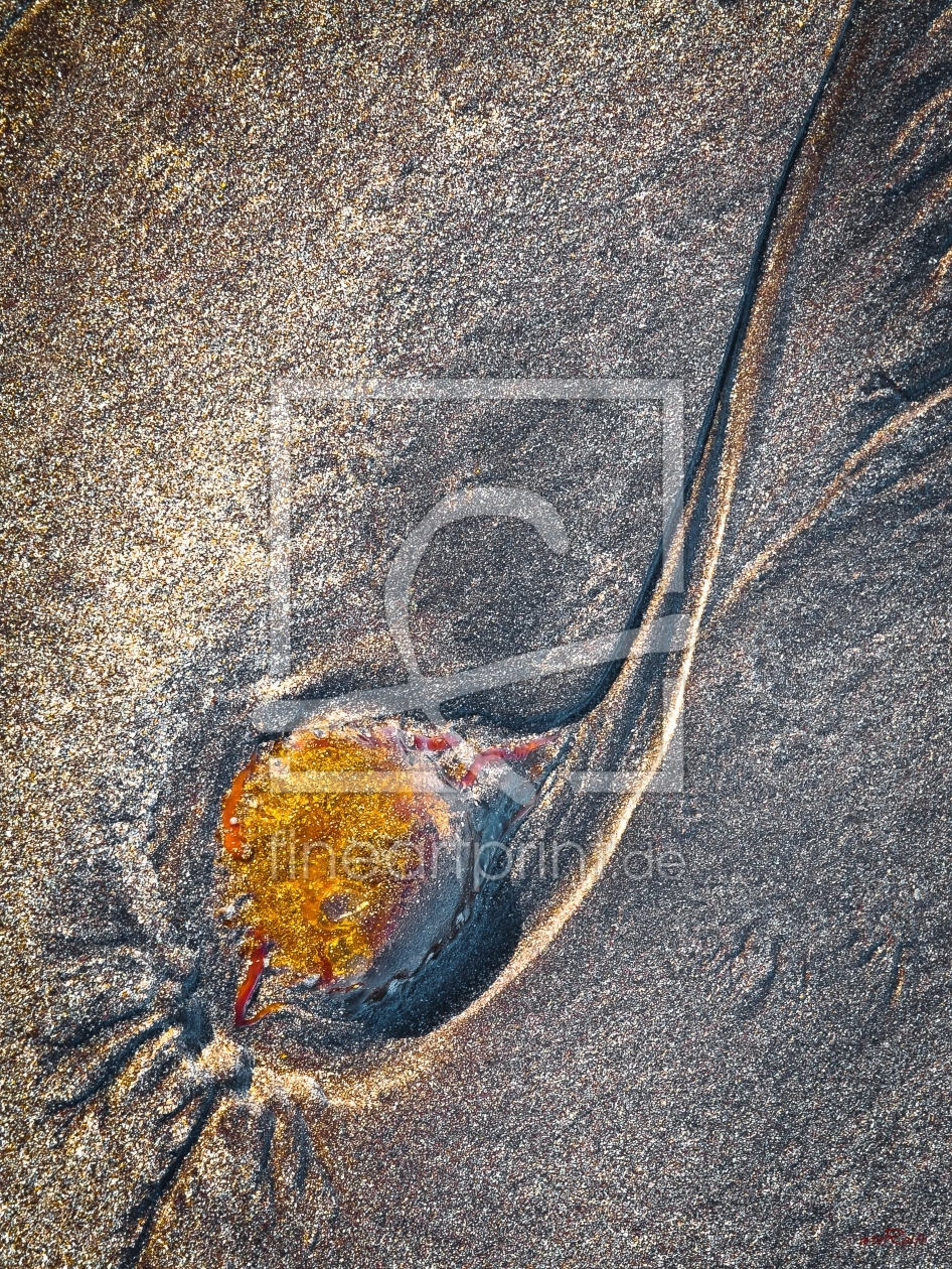 Bild-Nr.: 10638588 Ocean Art no. 2 erstellt von arteRalfo