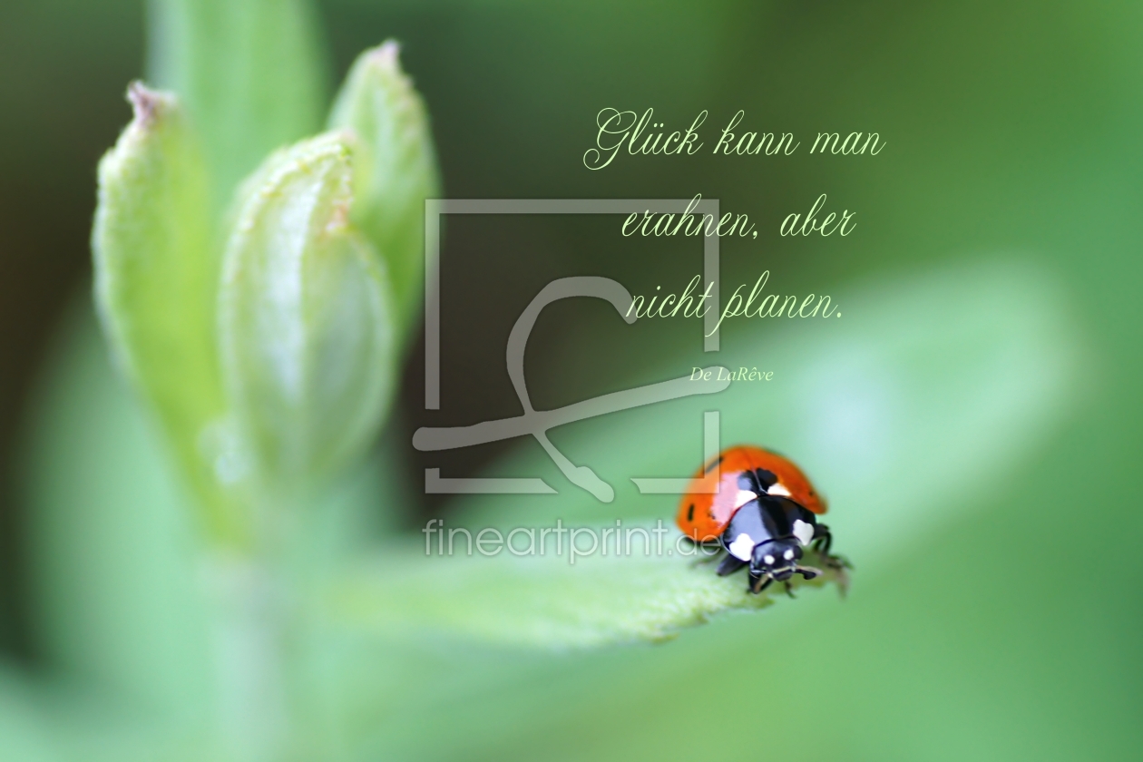 Bild-Nr.: 10639106 Good Luck erstellt von youhaveadream