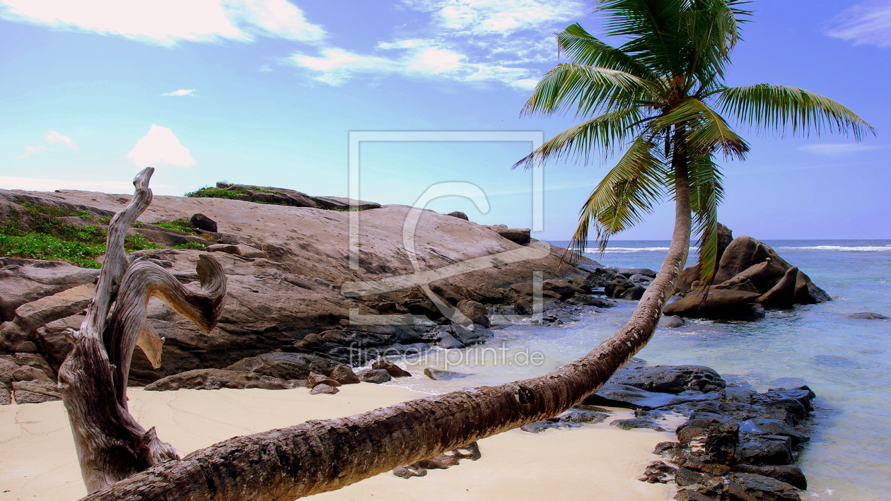 Bild-Nr.: 10639330 Anse Forbans - Mahe  erstellt von pescabrae