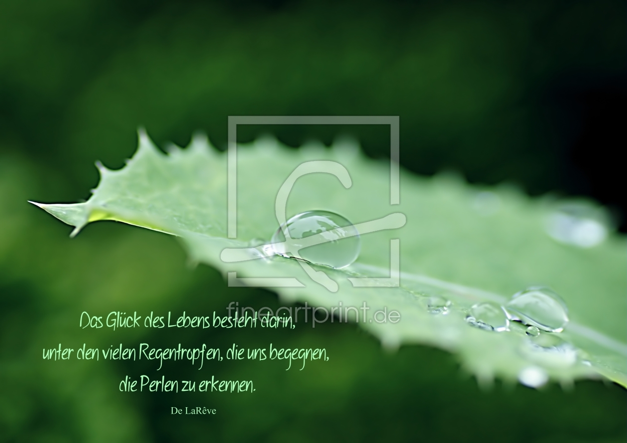 Bild-Nr.: 10639720 Pearls erstellt von youhaveadream