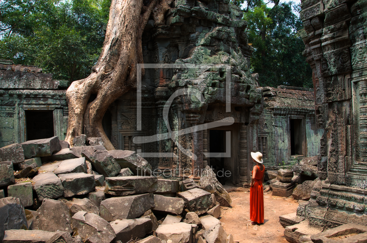 Bild-Nr.: 10641526 Gigantische Wurzeln im Ta Prom Tempel, Kambodscha erstellt von danielgiesenphotography