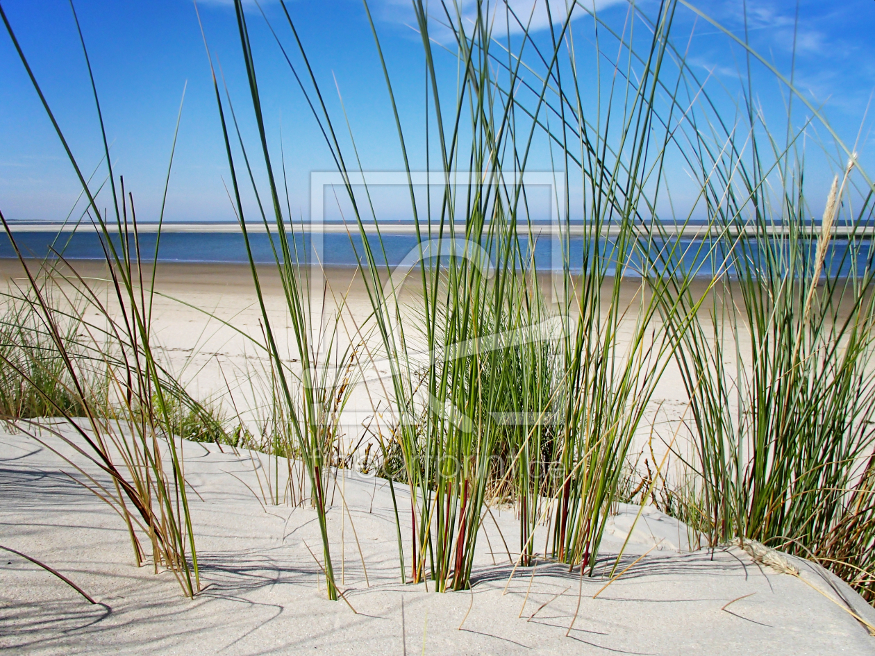 Bild-Nr.: 10641574 Nordseeinsel Spiekeroog  Düne erstellt von Galerie-Fotoeffekt