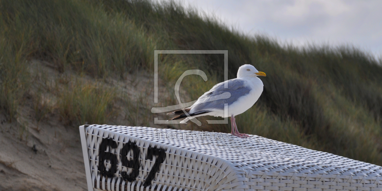 Bild-Nr.: 10645646 Sommer auf Sylt erstellt von Holgi73
