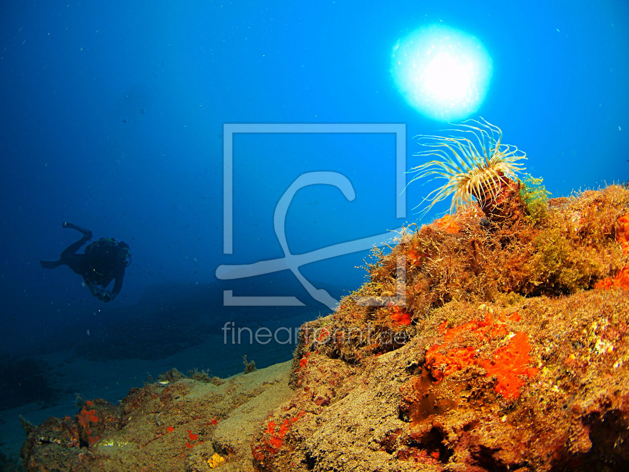 Bild-Nr.: 10646564 Underwater Moon erstellt von deep007