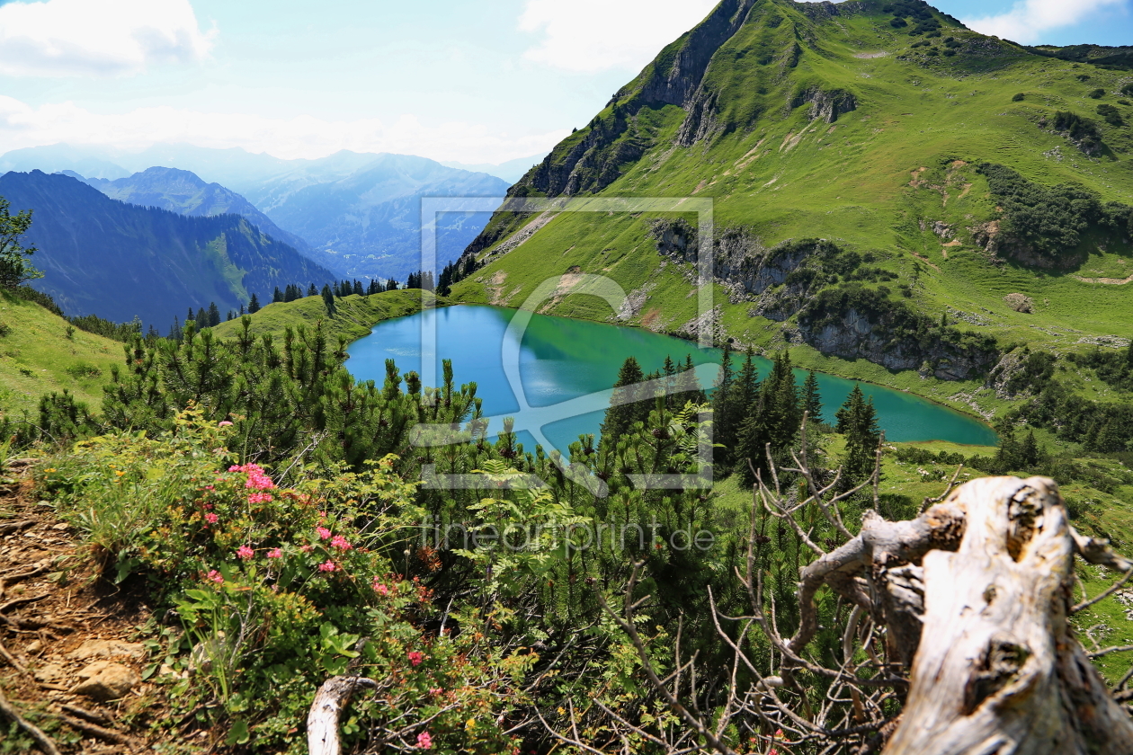 Bild-Nr.: 10650604 Seealpsee erstellt von fotoping