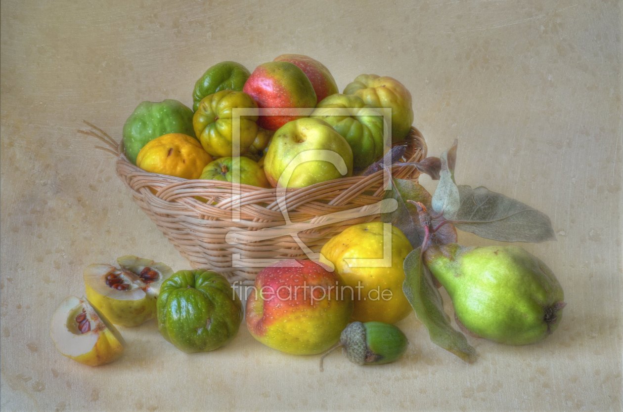 Bild-Nr.: 10650800 Herbstfrüchte erstellt von Rolf Eschbach