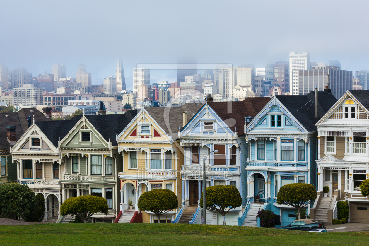 Bild-Nr.: 10654468 Painted Ladies erstellt von Photographicjourney