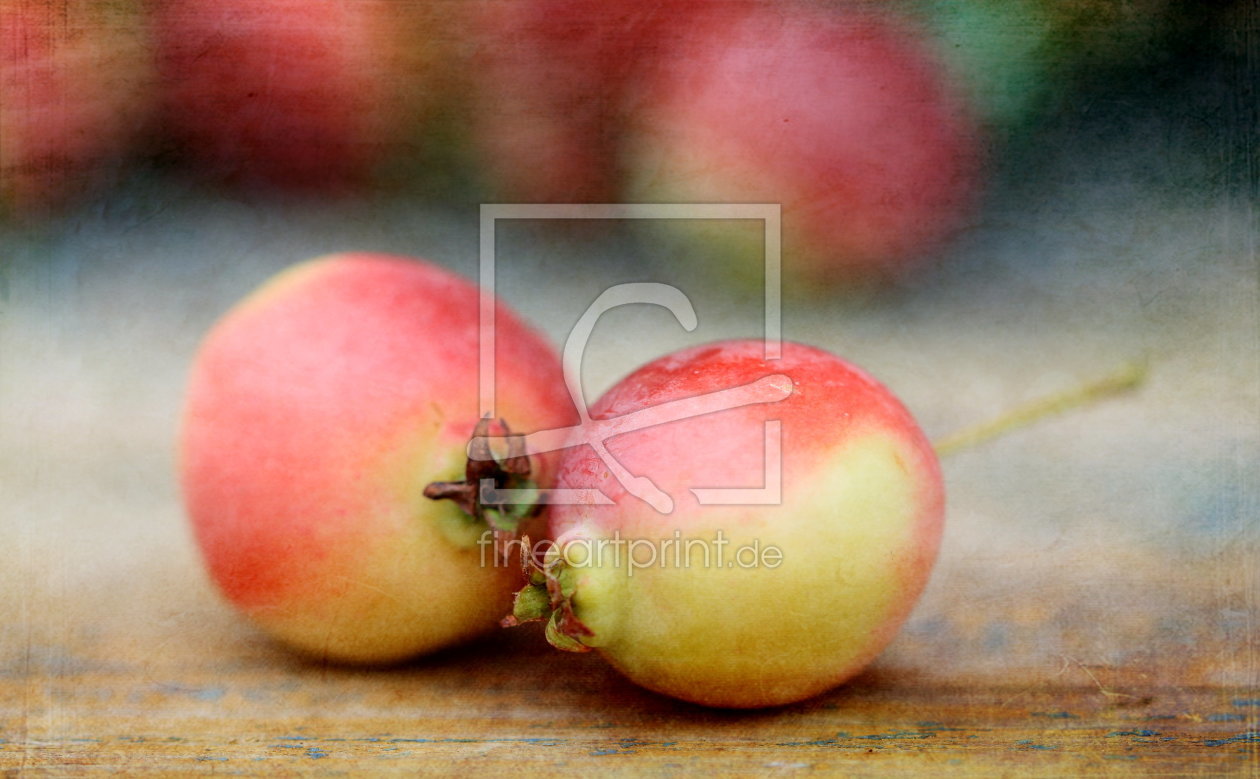Bild-Nr.: 10655352 Ein Herbstbild erstellt von Heike  Hultsch