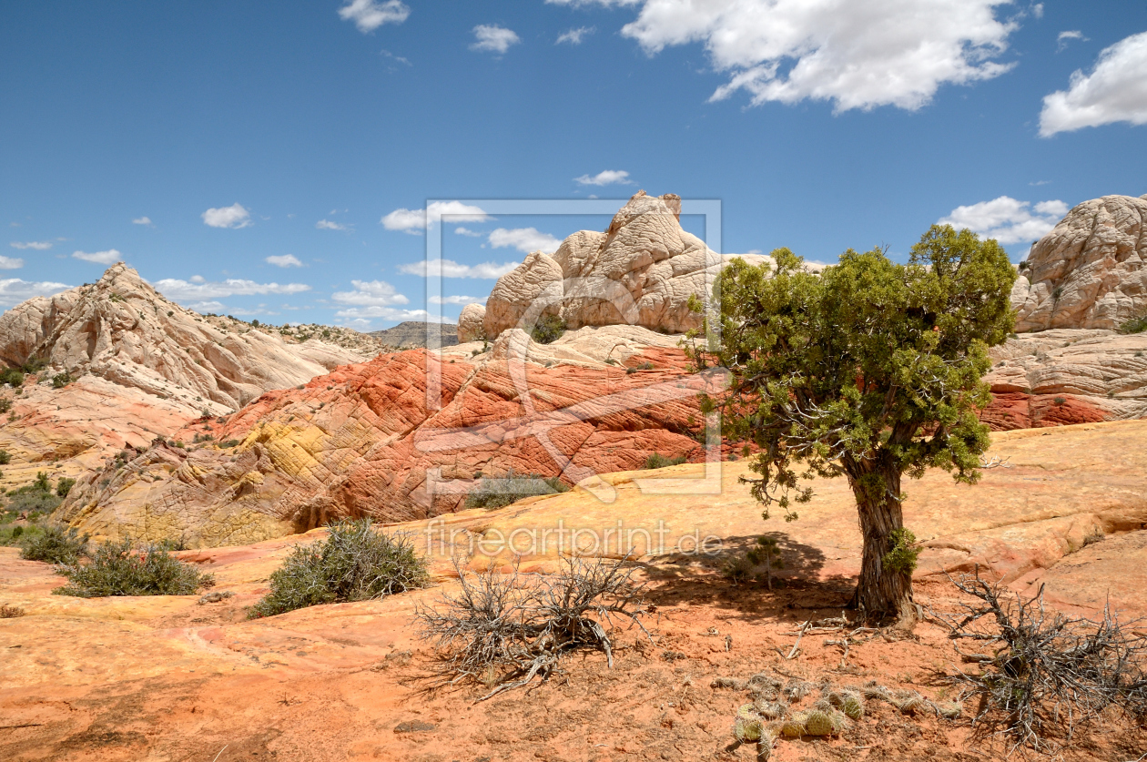 Bild-Nr.: 10655600 Yellow Rock Valley erstellt von Photographicjourney