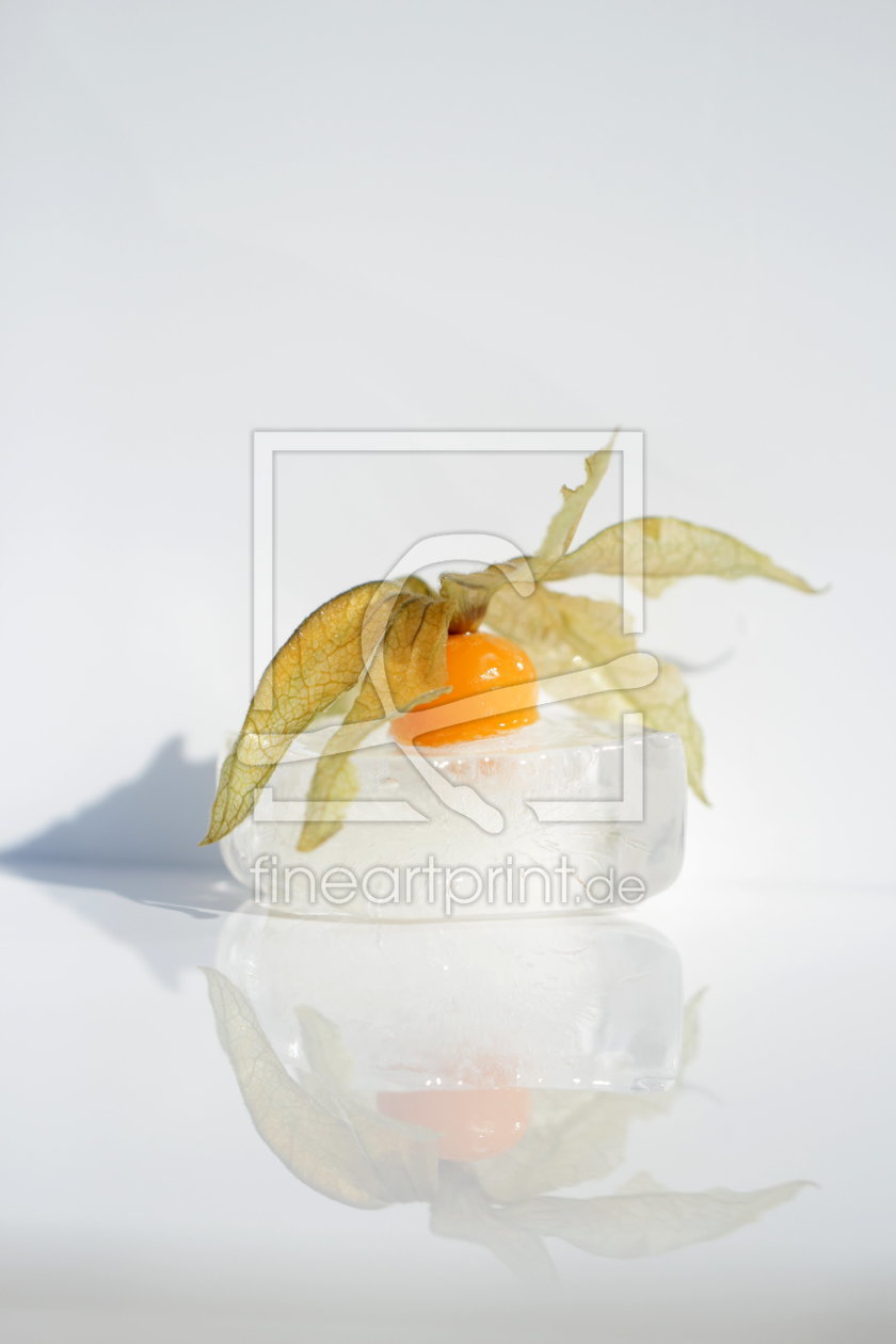 Bild-Nr.: 10656594 Frostiges Früchtchen - Physalis erstellt von Heike  Hultsch