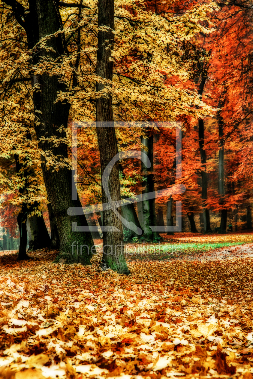 Bild-Nr.: 10657948 Herbstfarben erstellt von hannes cmarits