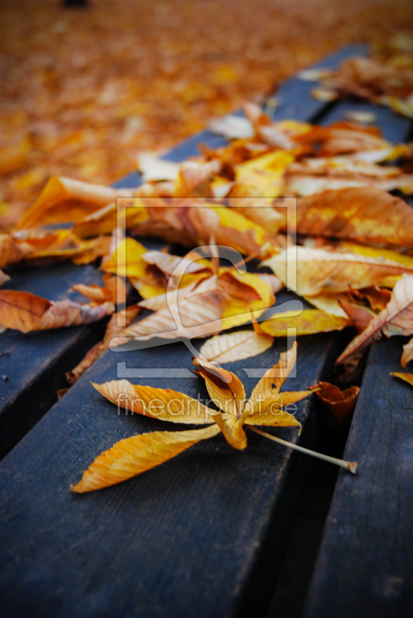 Bild-Nr.: 10657956 Herbstliches Ruhen erstellt von hannes cmarits