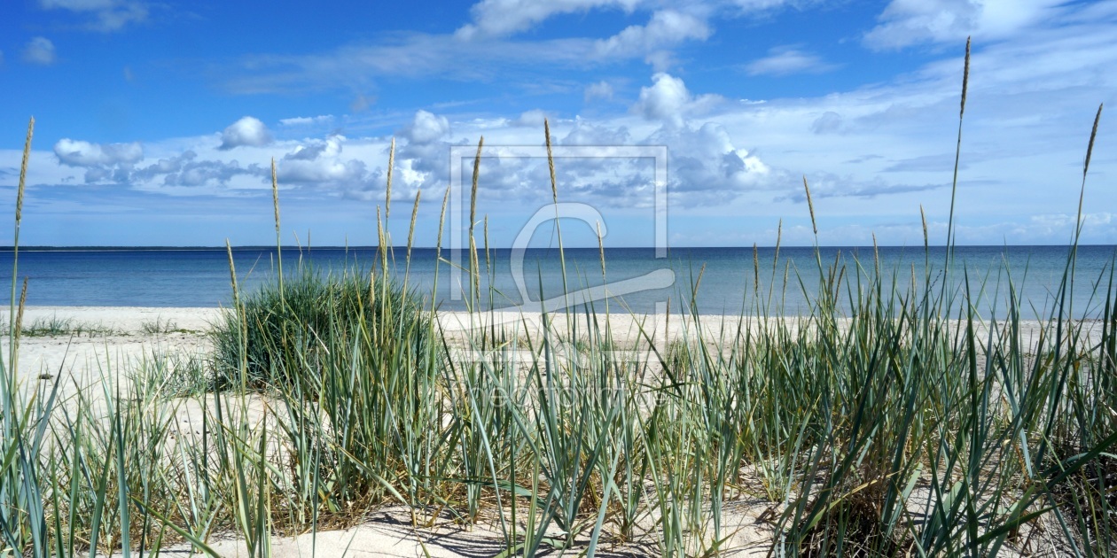 Bild-Nr.: 10660454 Öland, Strand erstellt von Reinhold Adscheid