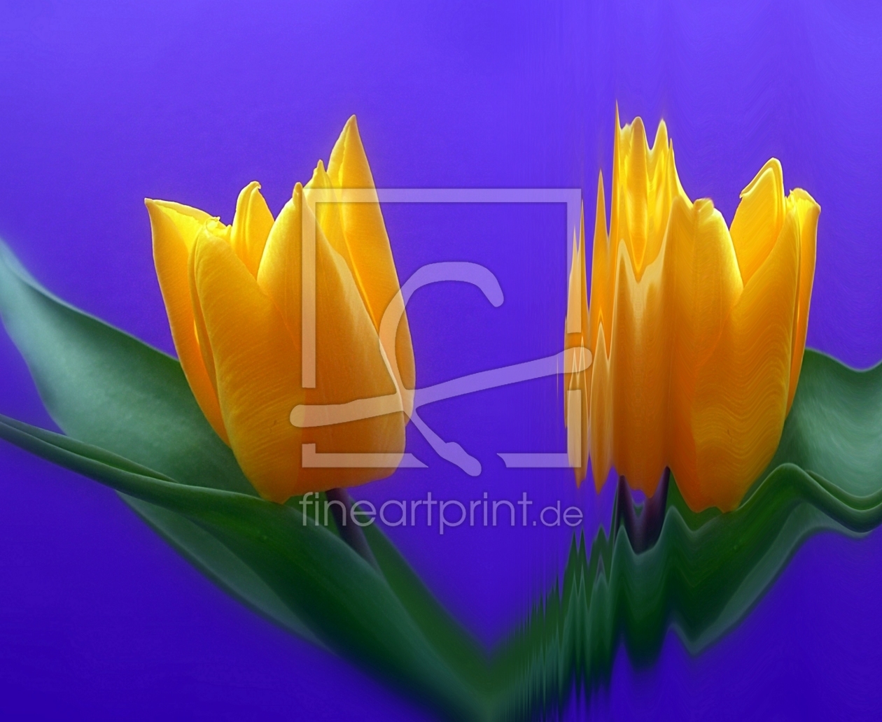 Bild-Nr.: 10660960 Tulpenleuchter erstellt von Renate Knapp