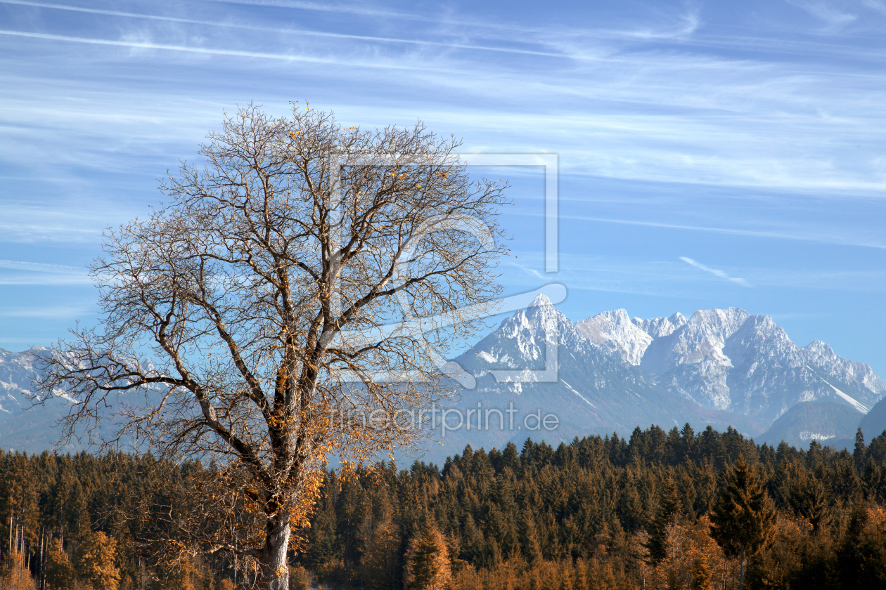 Bild-Nr.: 10662146 Tiroler Herbst erstellt von Thomas Herzog