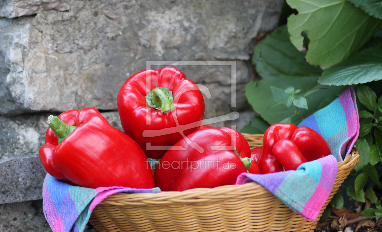 Bild-Nr.: 10663888 Stillleben Paprika erstellt von SusaZoom