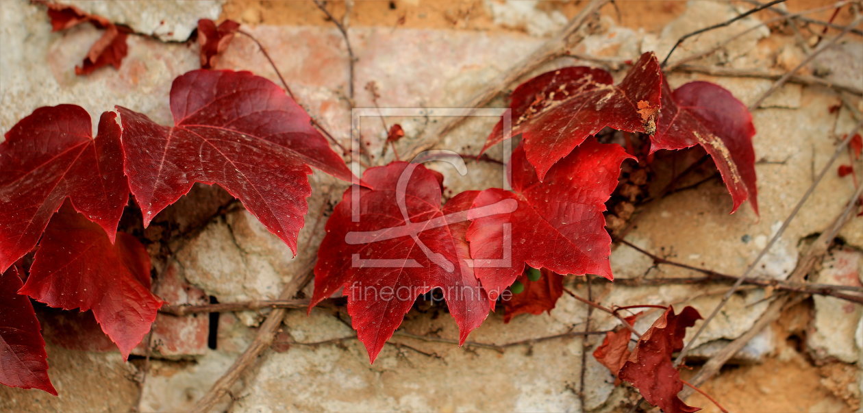 Bild-Nr.: 10664920 Ein Herbstpanorama erstellt von Heike Hultsch