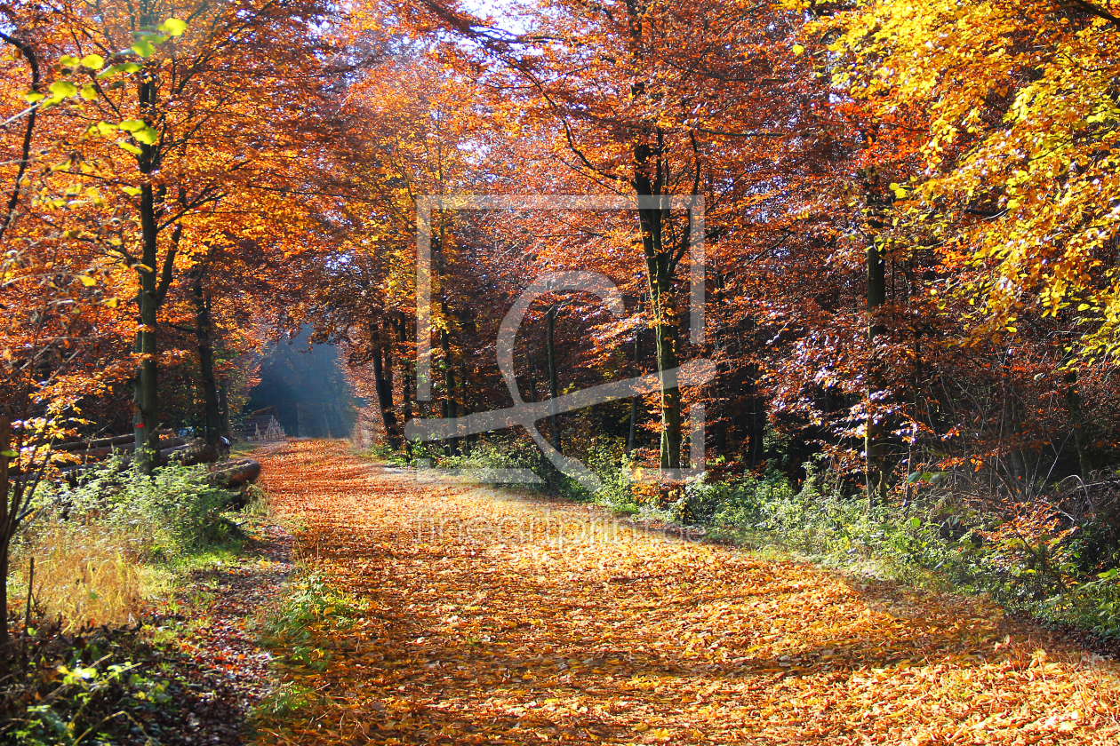 Bild-Nr.: 10667312 Herbstidylle erstellt von SusaZoom