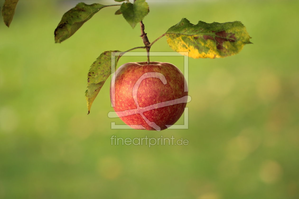 Bild-Nr.: 10668602 An apple a day ... erstellt von Heike Hultsch