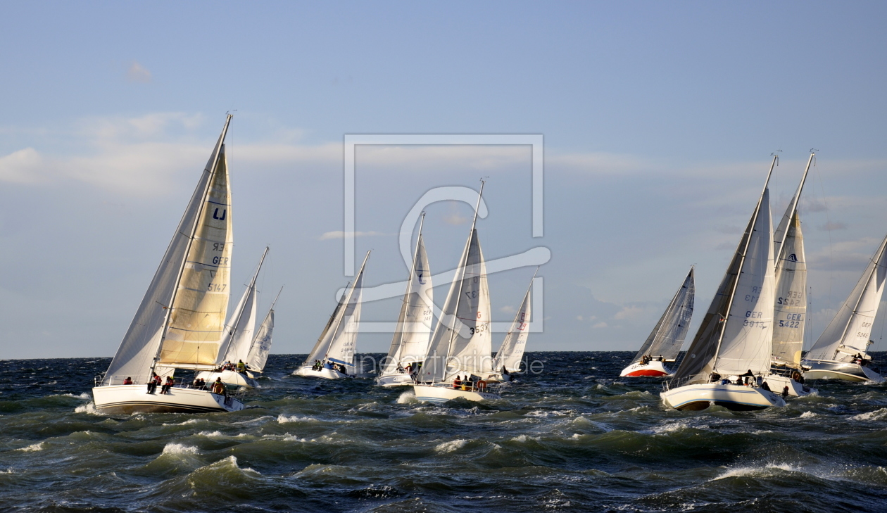 Bild-Nr.: 10672620 Hart am Wind erstellt von GUGIGEI