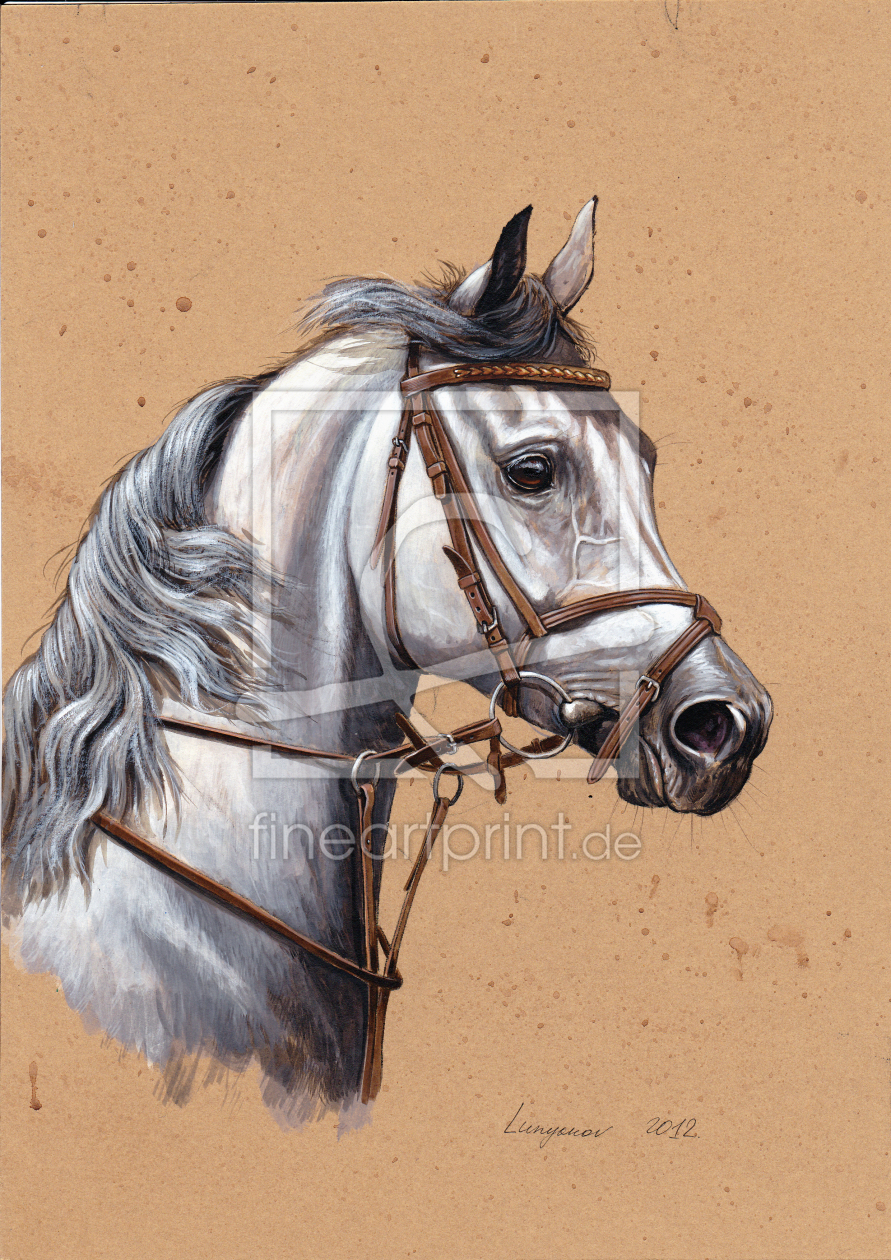 Bild-Nr.: 10673498 Arabian horse. erstellt von lunyakov