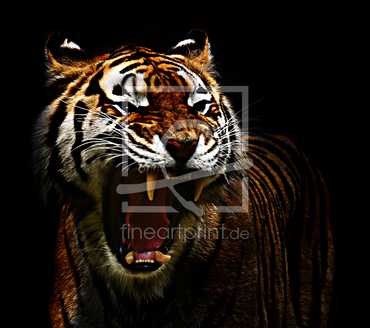 Bild-Nr.: 10674558 Panthera tigris  erstellt von uwekern