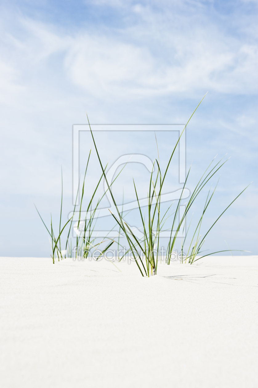 Bild-Nr.: 10678488 Strandkäferperspektive erstellt von danielschoenen