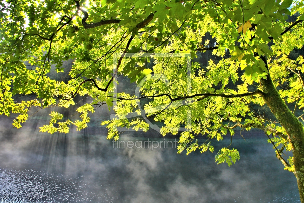 Bild-Nr.: 10678580 Herbststimmung erstellt von falconer59