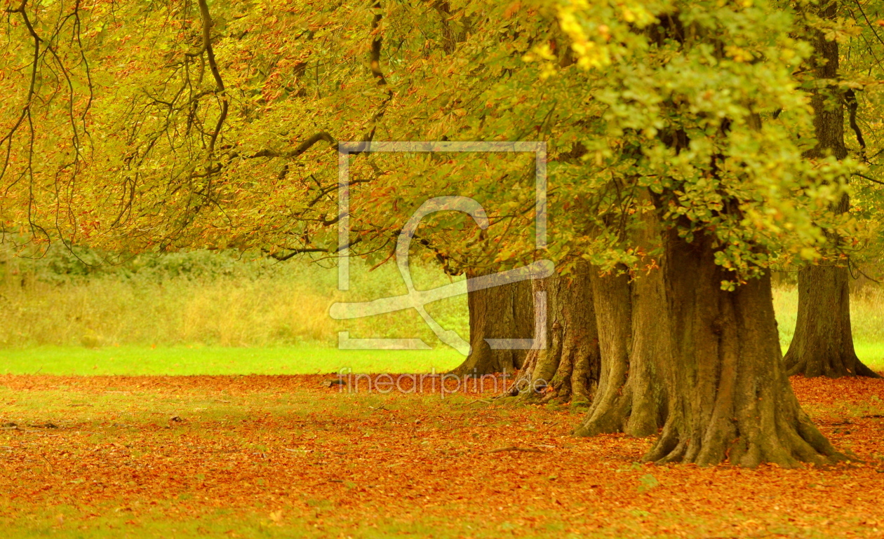 Bild-Nr.: 10679564 Im Herbst erstellt von GUGIGEI