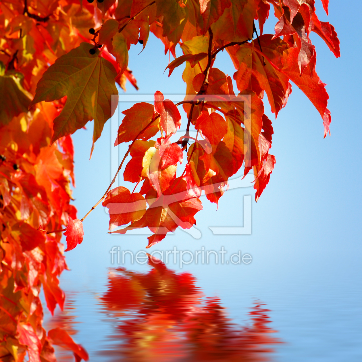 Bild-Nr.: 10680126 Herbstblätter  erstellt von Atteloi