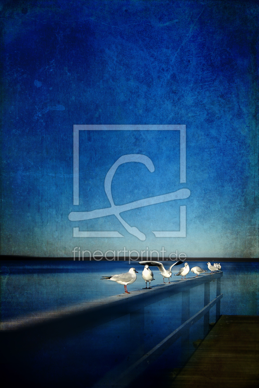 Bild-Nr.: 10680194 Nine seagulls (dark blue) erstellt von yammay