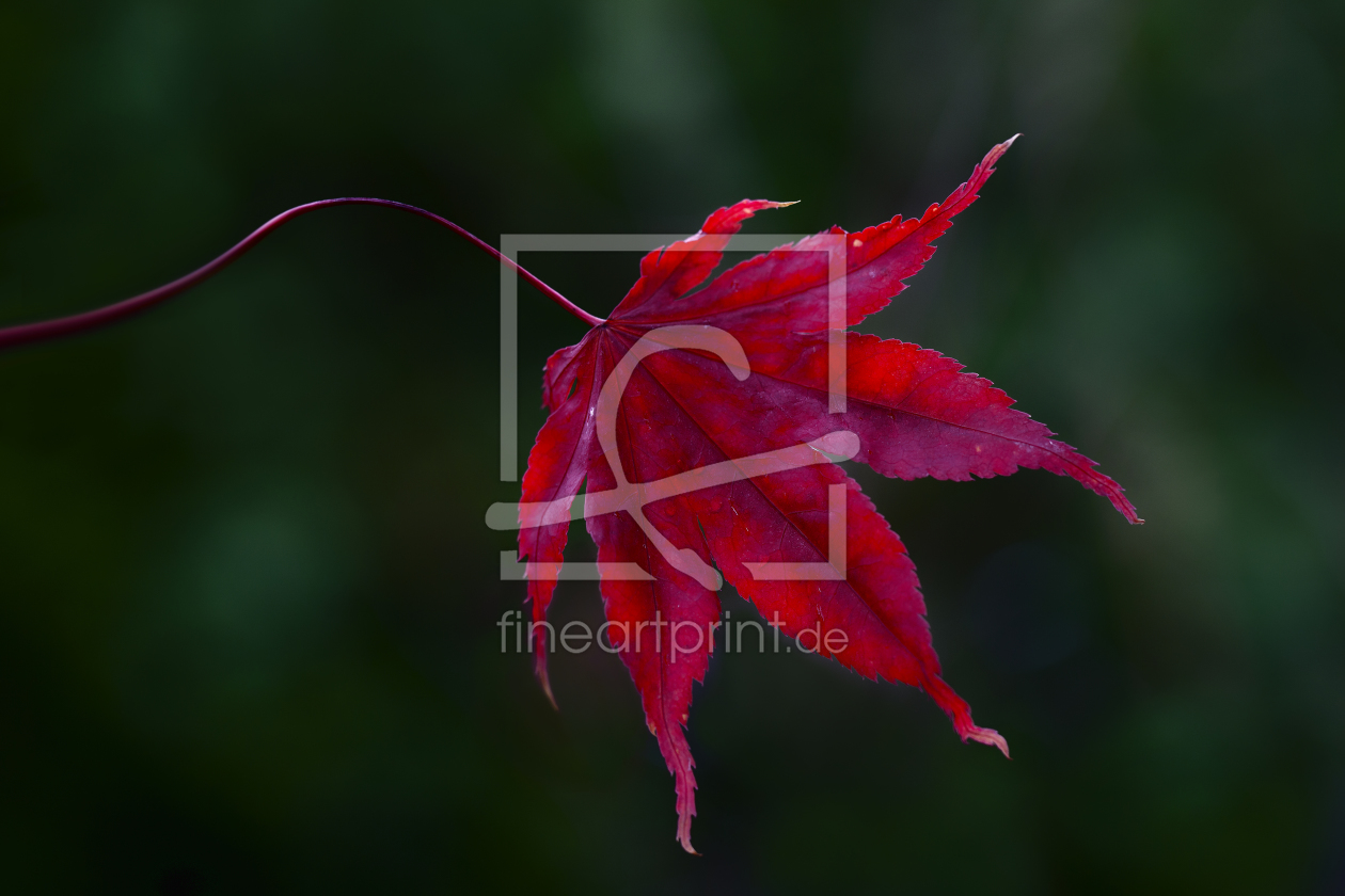 Bild-Nr.: 10683724 Leuchtfarbe erstellt von 