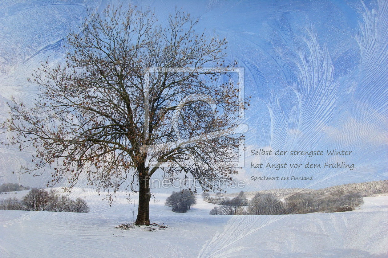 Bild-Nr.: 10684756 Der Winterbaum erstellt von Heike  Hultsch