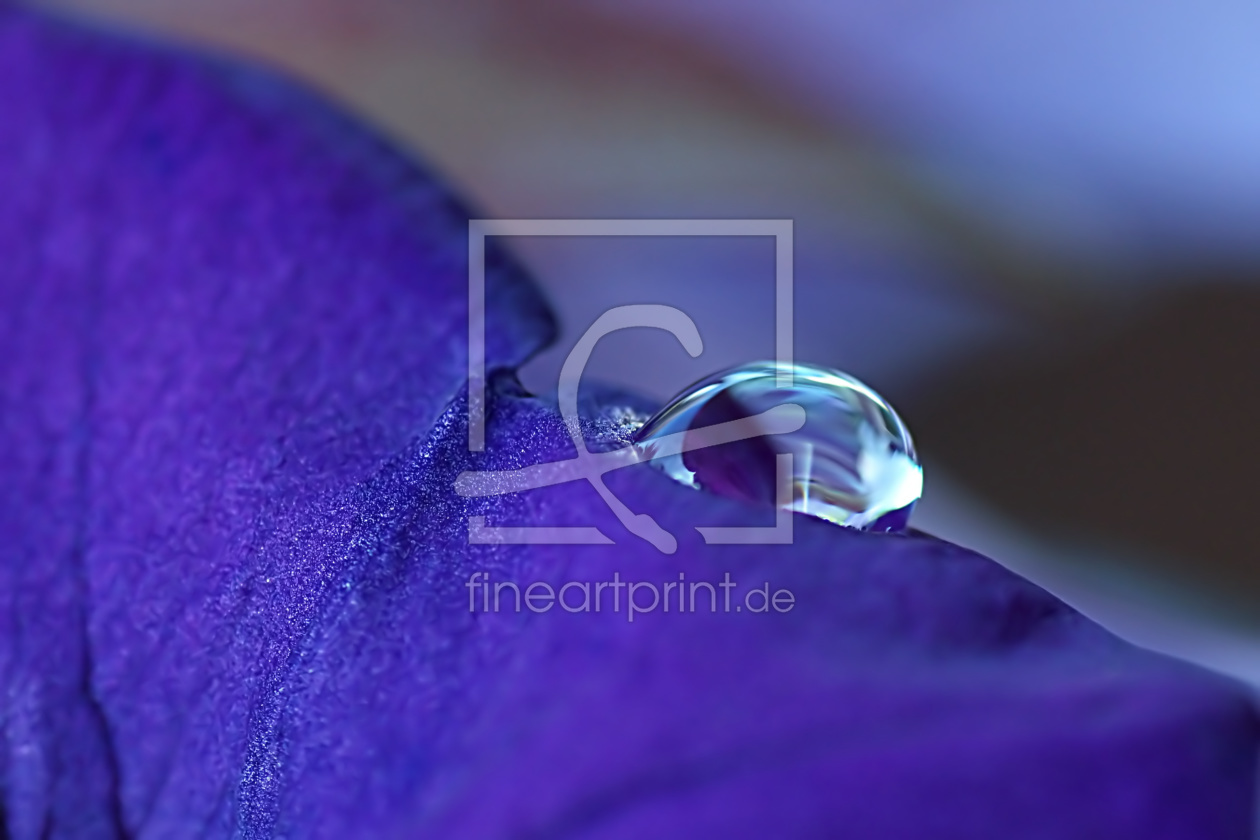 Bild-Nr.: 10685392 Lilac erstellt von youhaveadream