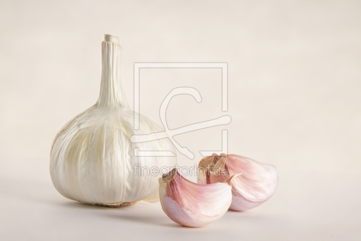 Bild-Nr.: 10686276 Knoblauch erstellt von FranziskaKrause