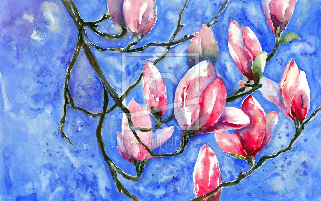 Bild-Nr.: 10686524 Magnolien erstellt von JitkaKrause