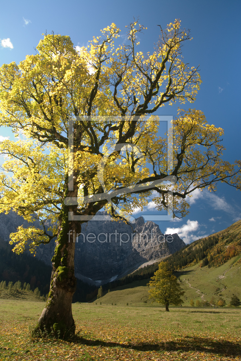 Bild-Nr.: 10687262 Herbststimmung in der Eng erstellt von Luchsknipser