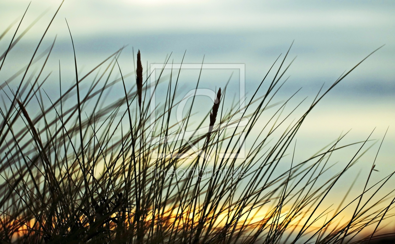 Bild-Nr.: 10692393 M E E R gras erstellt von Ursula Reins