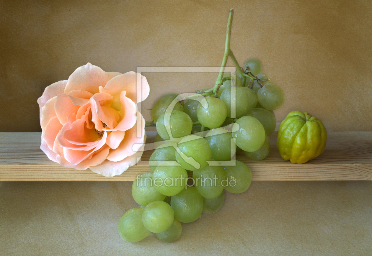 Bild-Nr.: 10692529 Stillleben mit Rose und Früchten erstellt von Rolf Eschbach