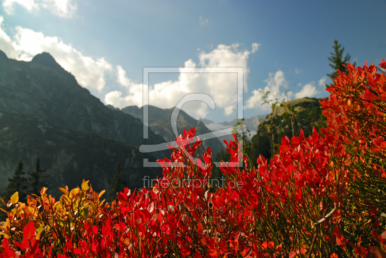 Bild-Nr.: 10696473 Alpenherbst erstellt von Ingo Laue